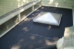 flat_roof_with_skylight