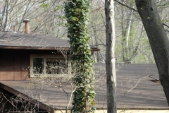 blogmedia-100628080440_shingle_roof_installed_in_potomac_maryland_1