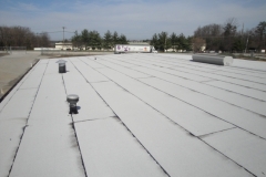 Flat Roof jessup