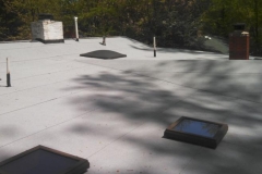 Self adhered modified bitumen flat roof