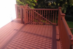 Deck with Fire Pit Color Trex