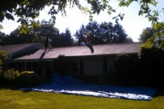 Shingle Roof Ellicott City Maryland