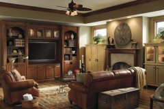cabinets_for_entertainment_center_columbia_tucson_lo_res